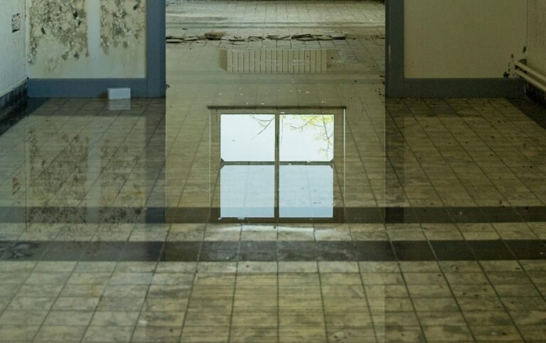 An abandoned room with a flooded floor reflecting a window, highlighting decay and neglect.